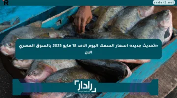 «تحديث جديد» أسعار السمك اليوم الأحد 18 مايو 2025 بالسوق المصري الآن